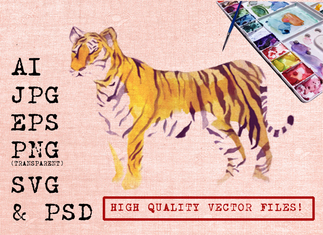Cool Watercolor Tigers Illustrations