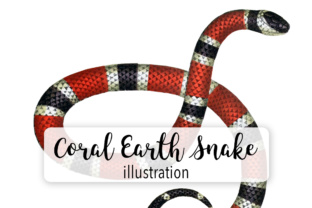 Coral Earth Snake Illustrations