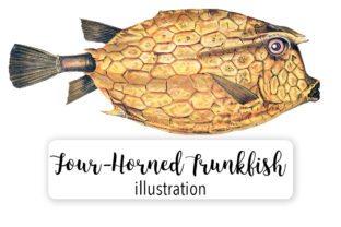 Four Horned Trunkfish Embroidery Design
