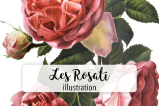 Les Rosati Illustrations
