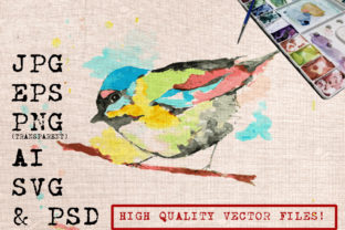 Little Bird Watercolor Illustrations