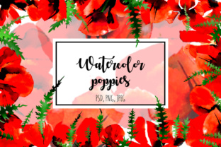 Poppy Flowers Watercolor Set and Illustrations