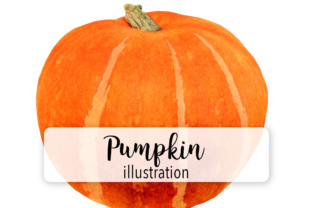 Pumpkin One Embroidery Design