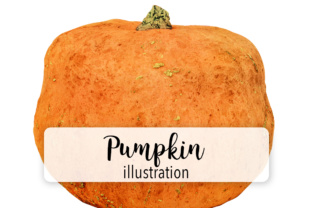 Pumpkin Two Embroidery Design