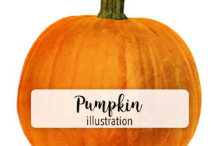 Pumpkins Three and Illustrations