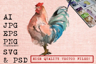 Rooster Illustration and Illustrations