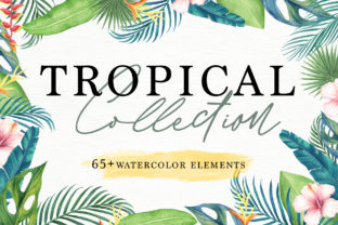 Tropical Collection Illustrations