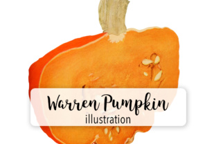 Warren Pumpkin Illustrations