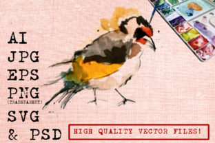 Watercolor Bird Drawing and Illustrations