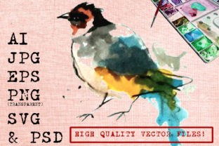 Watercolor Bird Illustrations