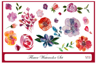 Watercolor Flowers Set for Illustrations