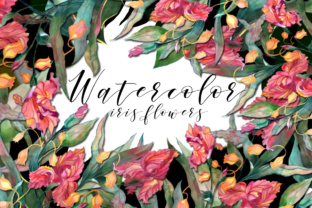 Watercolor Iris Flowers Set