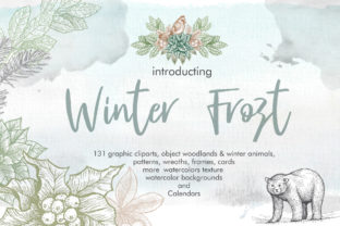 Winter Frost Illustrations
