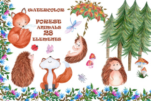 Woodland Animals Clipart and Illustrations