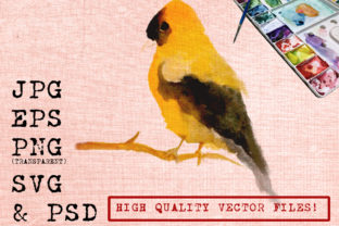 Yellow Bird Watercolor Illustrations
